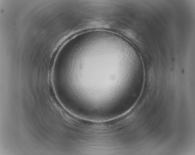 X0000056031220200508221506