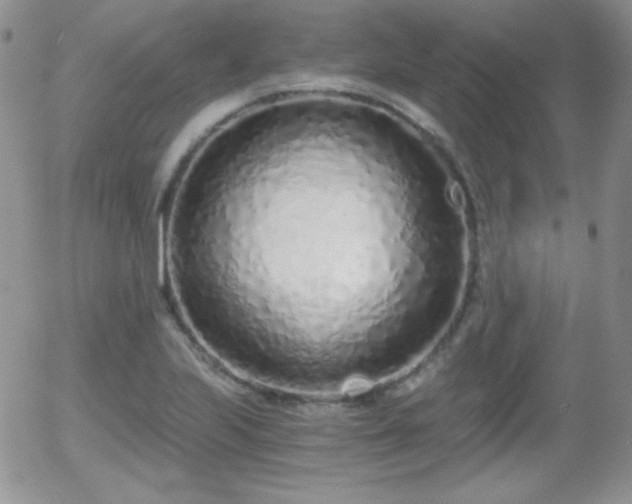 X0000056031223200508221506