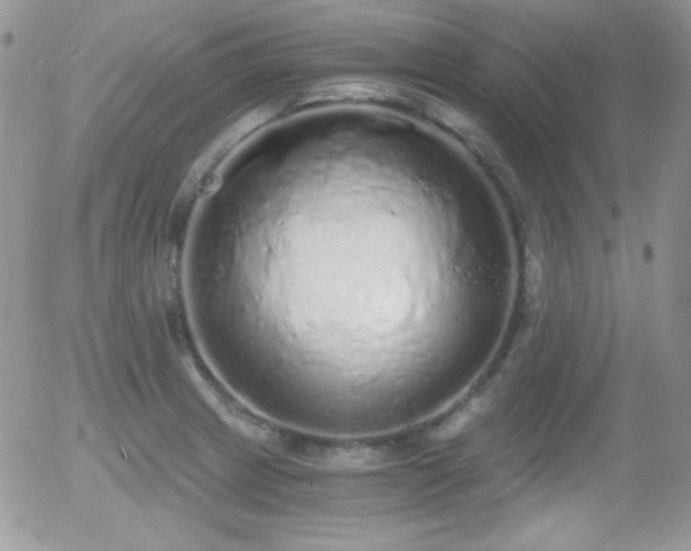X0000056031233200508221506