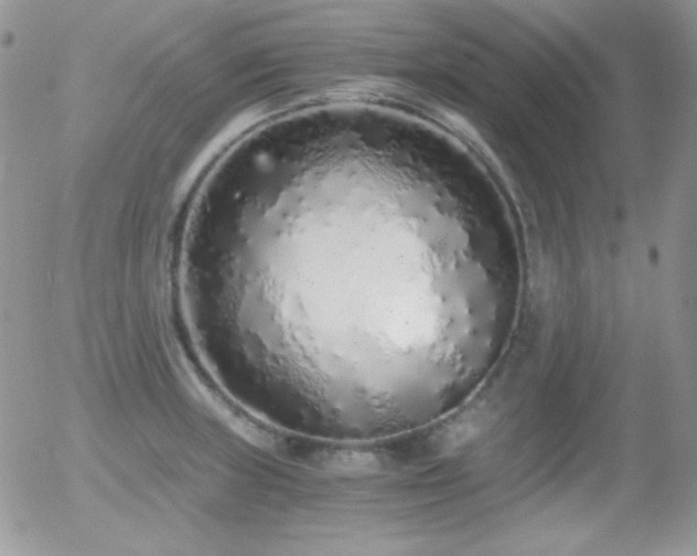 X0000056031235200508221506