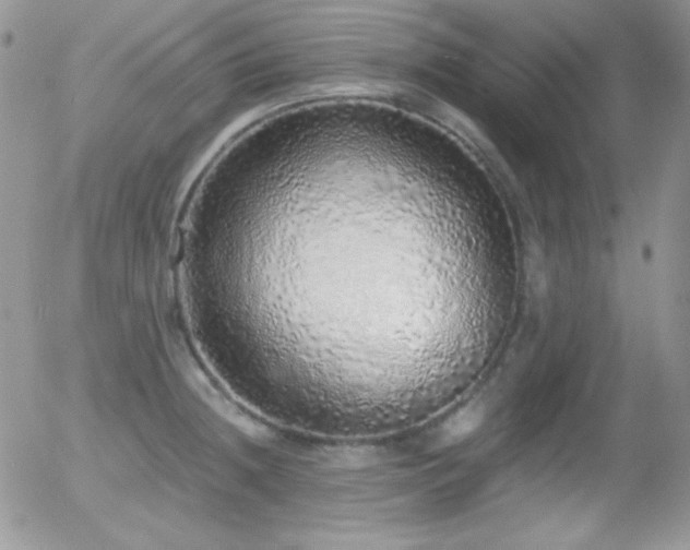 X0000056031236200508221506