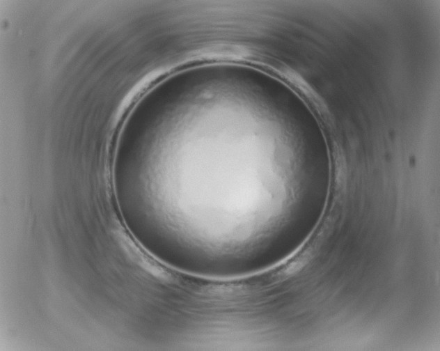 X0000056031240200508221506