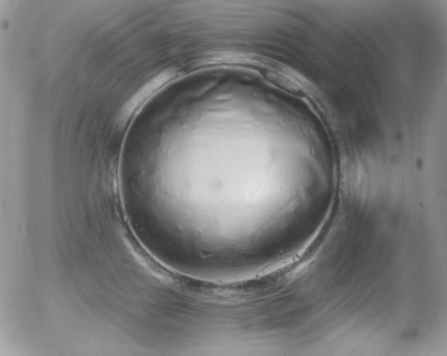 X0000056031241200508221506