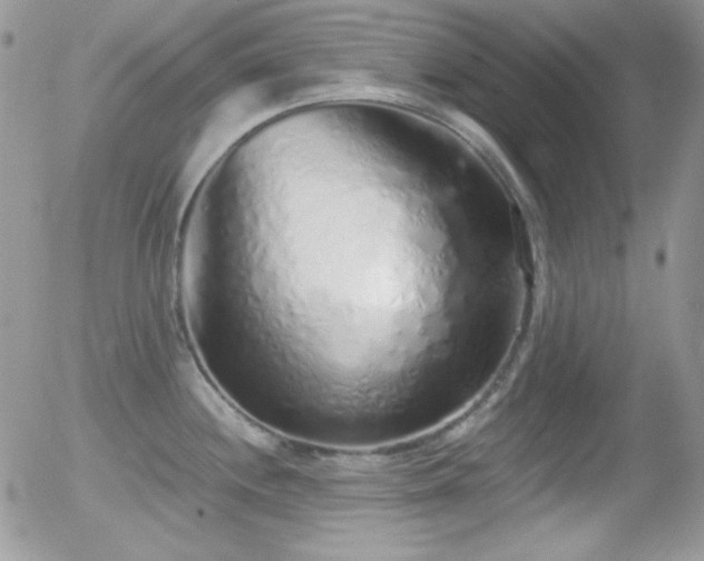 X0000056031244200508221506