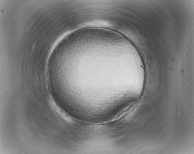 X0000056031248200508221506