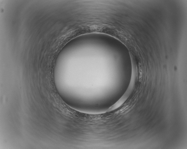 X0000056031249200508221505