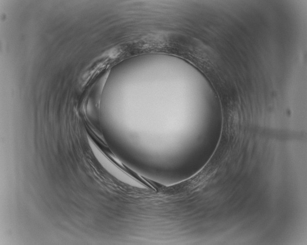 X0000056031250200508221505