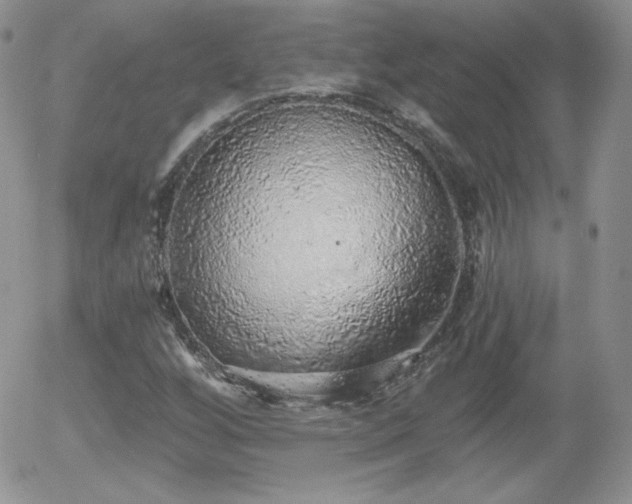 X0000056031256200508221505