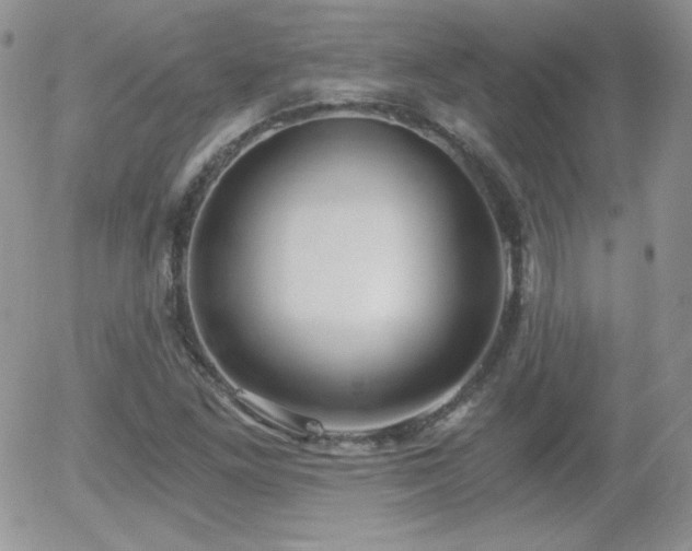 X0000056031261200508221505