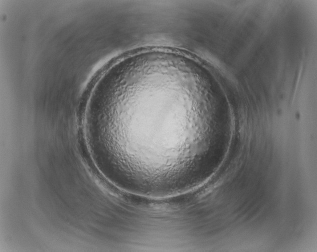 X0000056031264200508221505