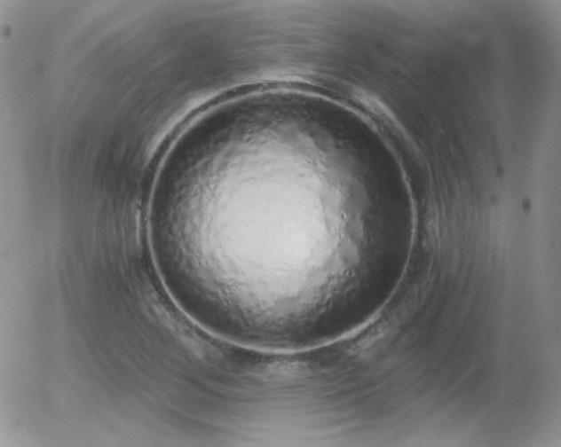 X0000056031268200508221505