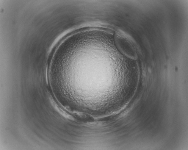 X0000056031272200508221505