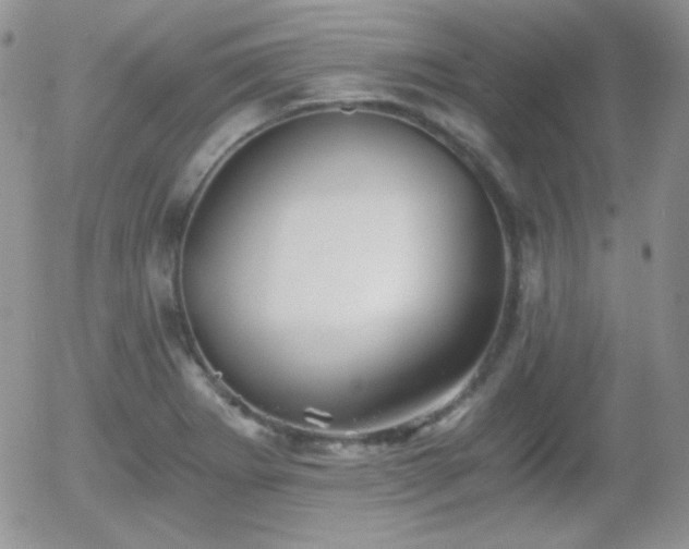 X0000056031273200508221505