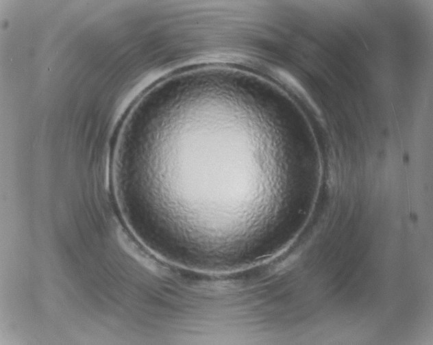 X0000056031276200508221505