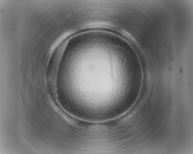 X0000056031277200508221505