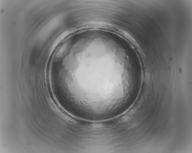 X0000056031283200508221505