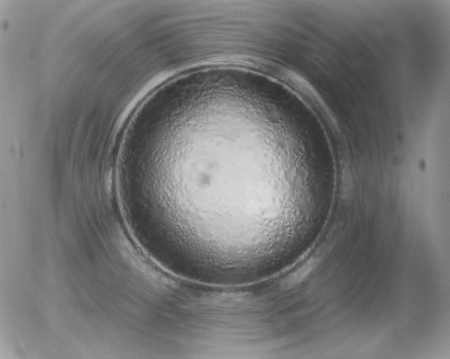 X0000056031284200508221505