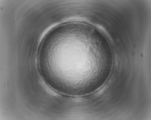 X0000056031288200508221505