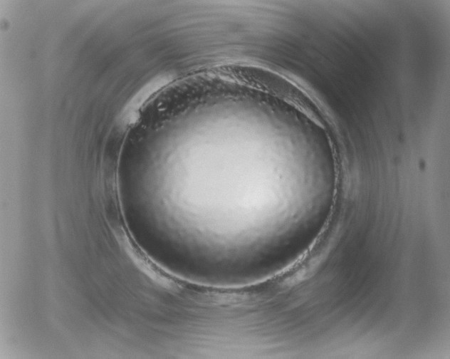 X0000056031289200508221505