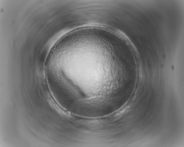X0000056031292200508221504