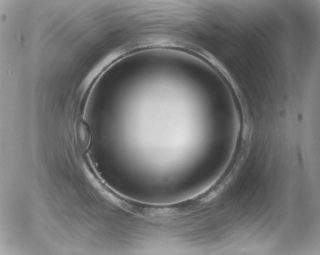 X0000056031293200508221504