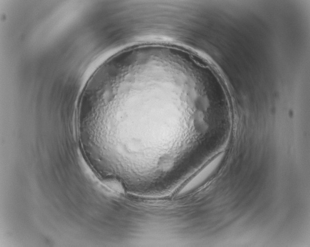 X0000056031295200508221504