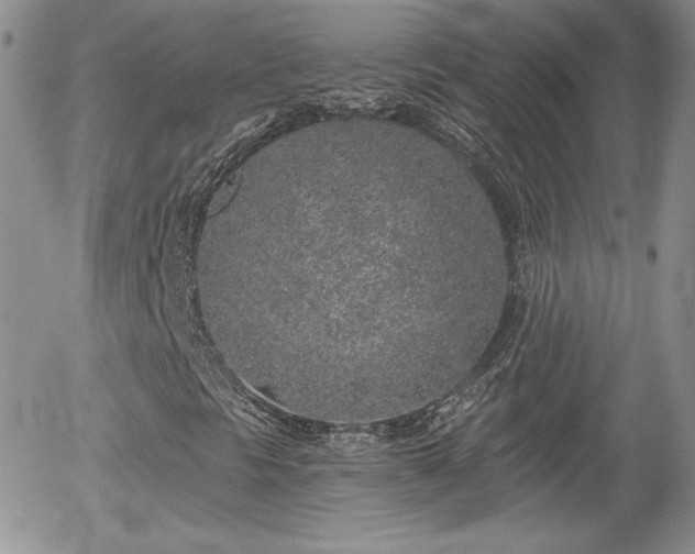 X0000056031297200508221504