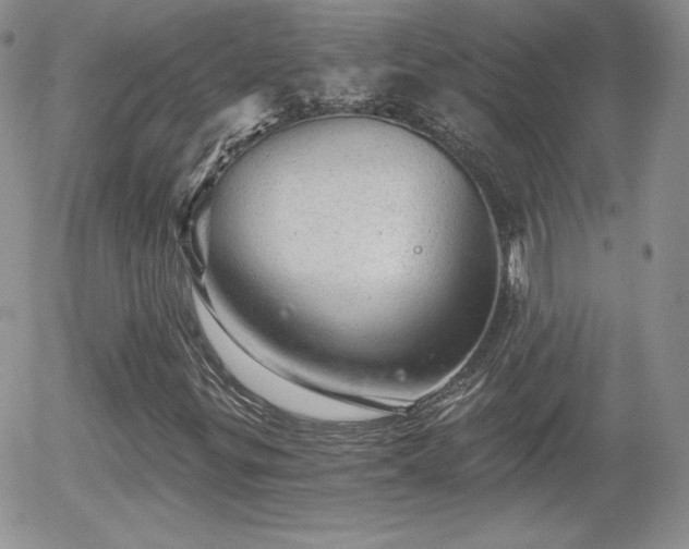 X0000056031299200508221504