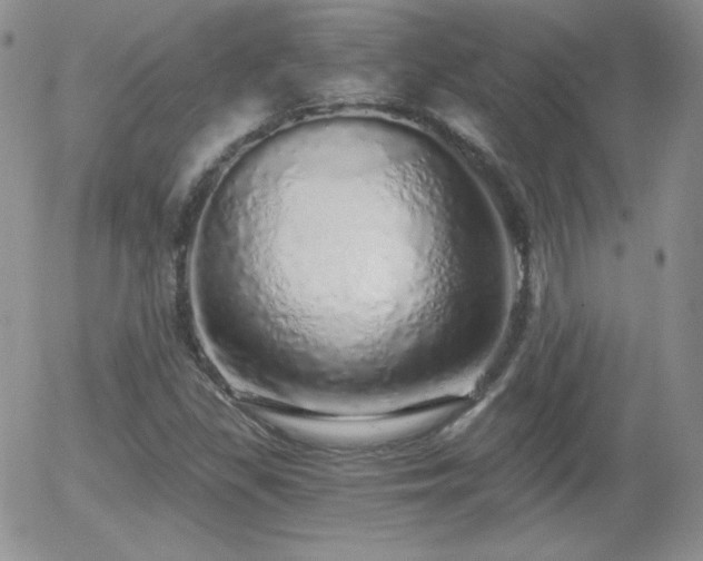 X0000056031309200508221504