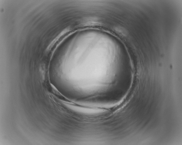 X0000056031313200508221504