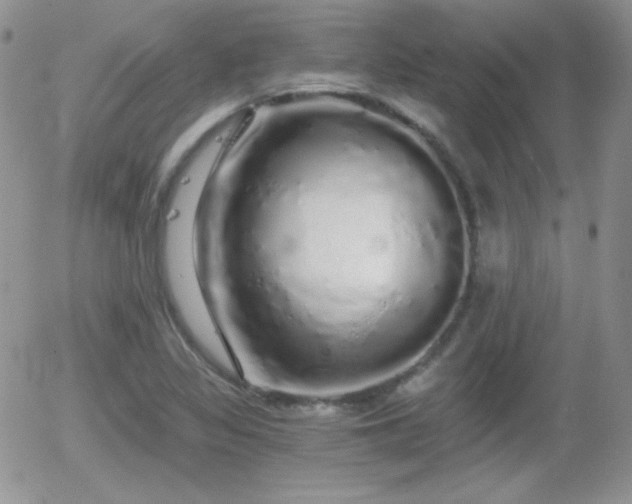 X0000056031317200508221504