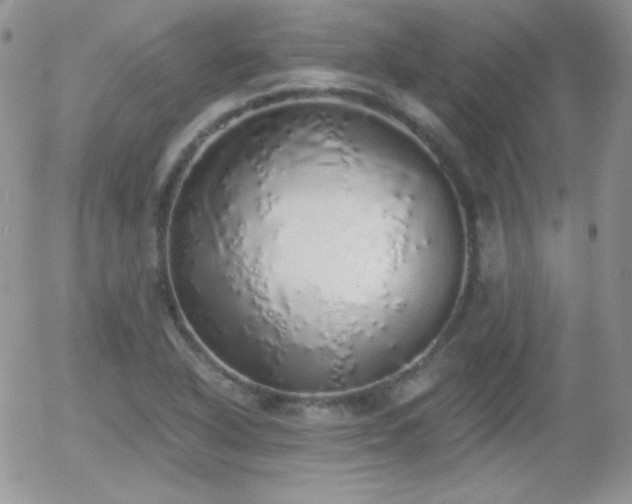 X0000056031318200508221504