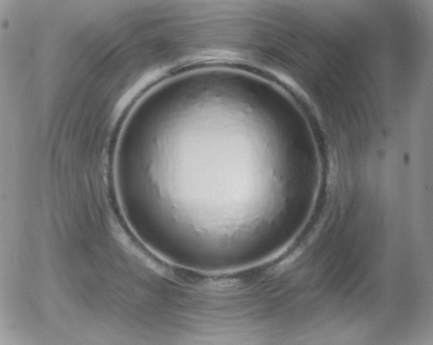 X0000056031325200508221504