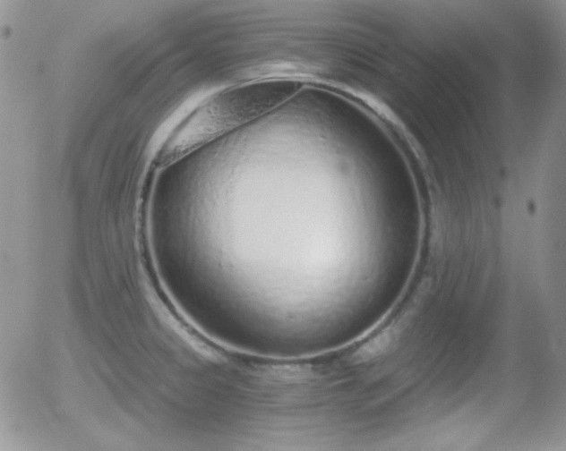X0000056031333200508221504