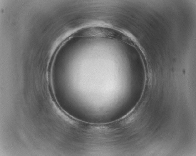 X0000056031335200508221504