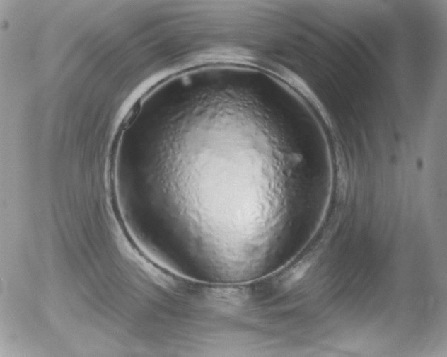 X0000056031339200508221504
