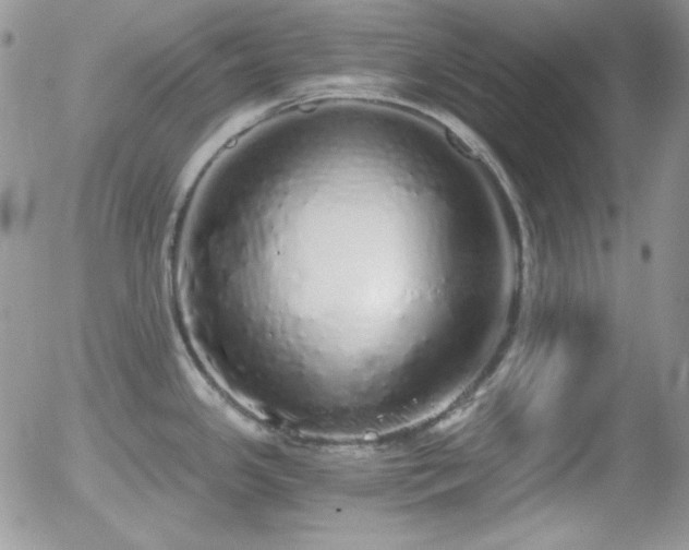 X0000056031341200508221504