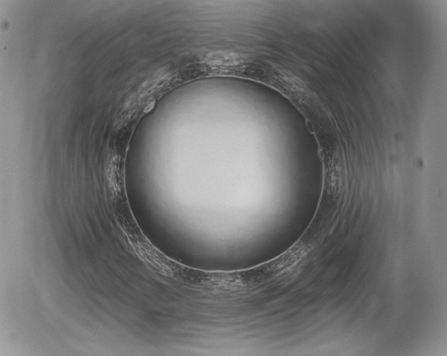 X0000056031346200508221504