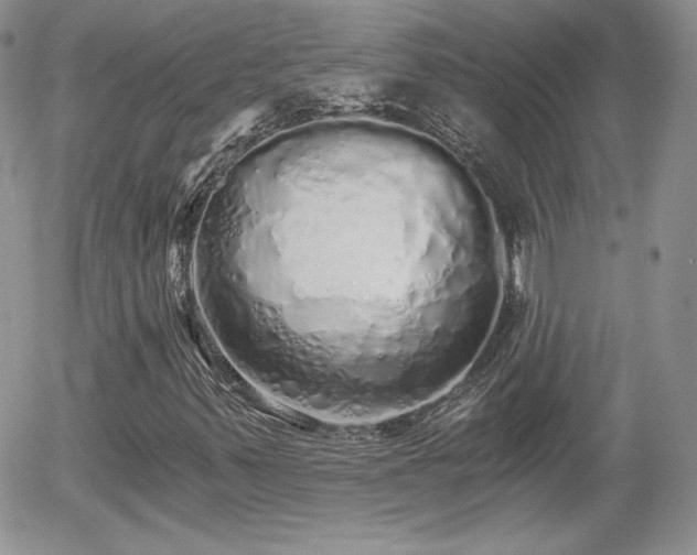 X0000056031347200508221504