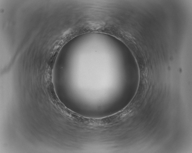 X0000056031349200508221504
