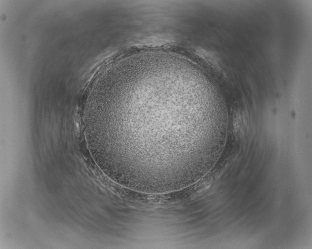 X0000056031350200508221504