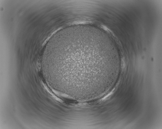 X0000056031353200508221503