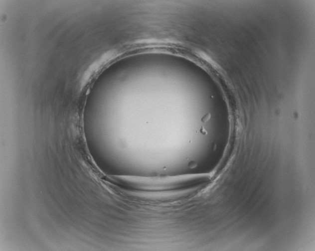 X0000056031357200508221503