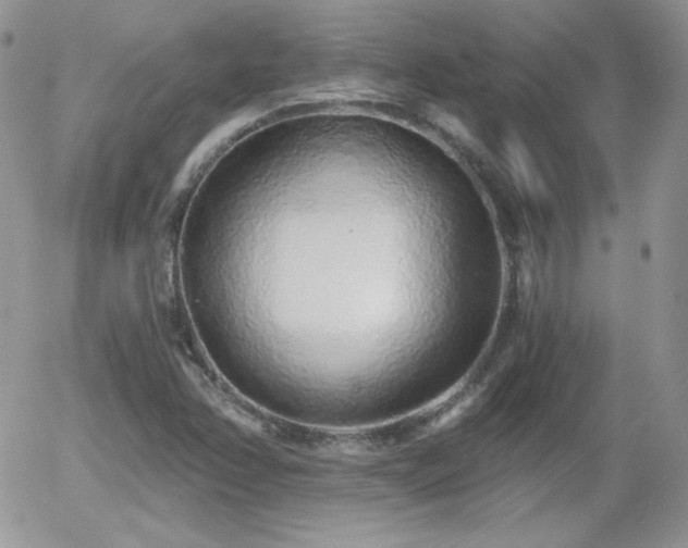 X0000056031358200508221503