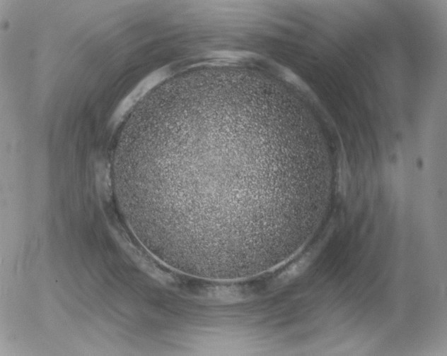 X0000056031362200508221503