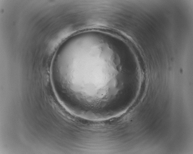 X0000056031363200508221503