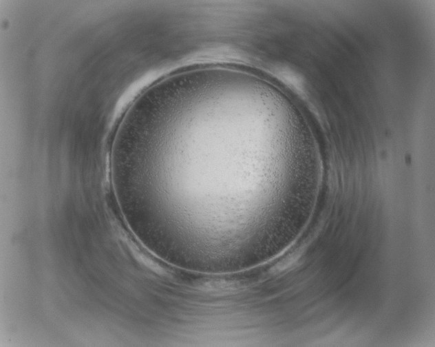 X0000056031366200508221503