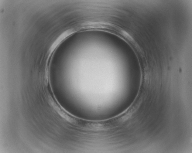 X0000056031370200508221503