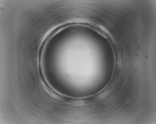 X0000056031372200508221503