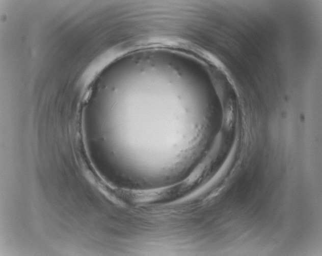 X0000056031373200508221503